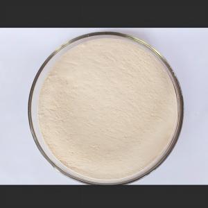 Alpha Amylase,α-Amylase；1,4-α-D-Glucan-glucanohydrolase